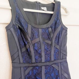 Cache black and navy lace pencil dress, size 0
